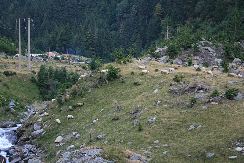 Original image